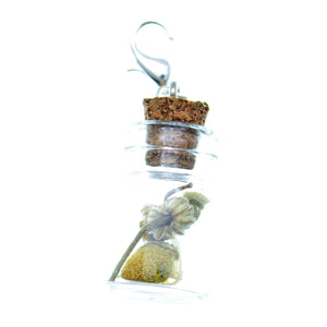 Clip-On Bottle Charms with Herbs Chamomile Flowers - Free Shipping